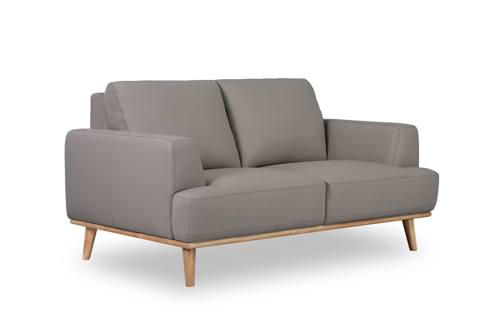 Noah 2 Seater Lounge Sofa in Italian Leather GREY - General